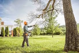 Indian Rocks Beach, FL Tree Removal and Landscaping Services Company